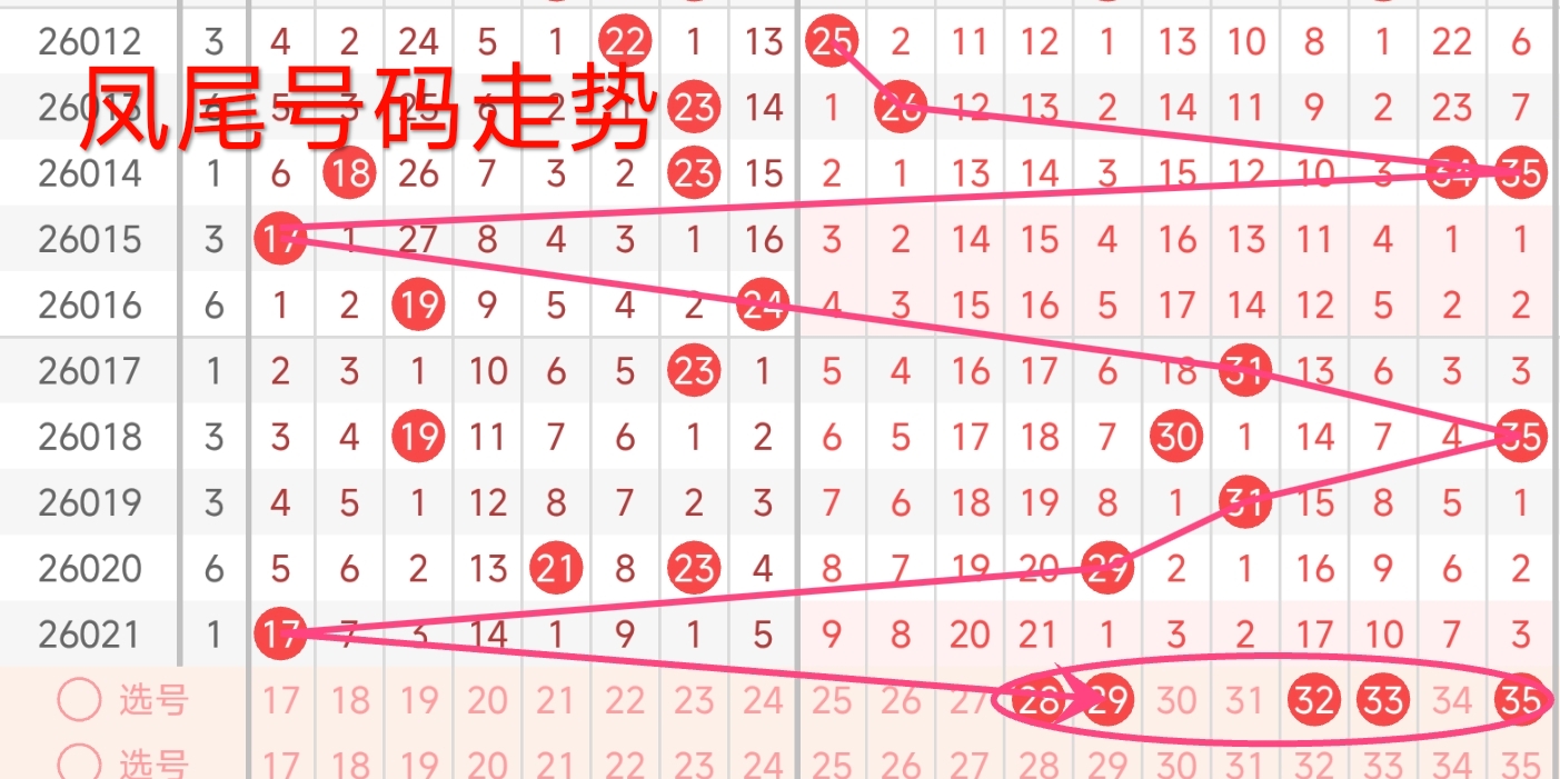 大乐透期号,专家质合推,前区十码胆,浙江体彩,浙江体彩网,浙江体彩网官网,体育彩票,体彩大乐透,竞彩足球,体彩公益