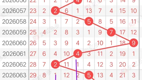 第2026027期 大乐透2026027期专家推荐：前区杀六