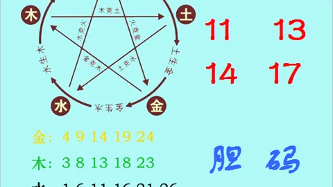 排列五第2026080期专家质合推荐前区十码